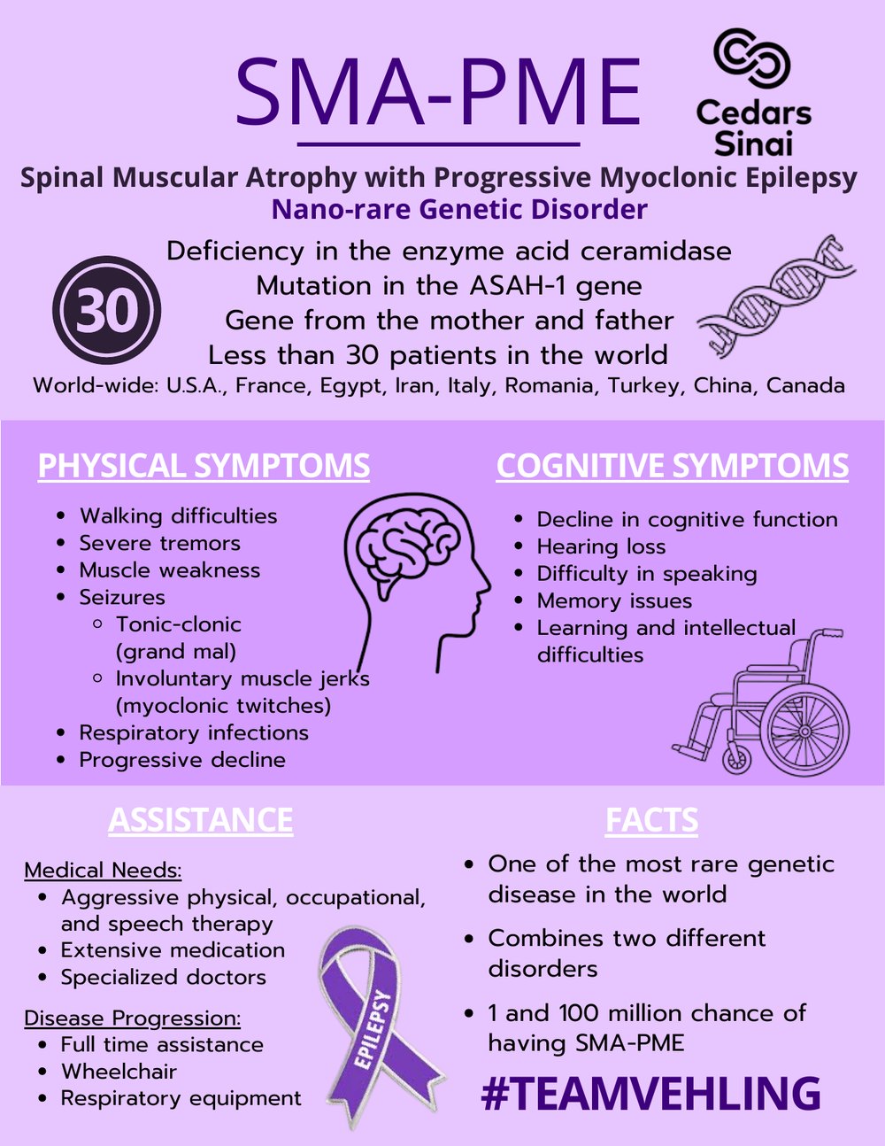 A hand-designed infographic explaining SMA-PME, its symptoms and facts, made by Maggie Mae Vehling